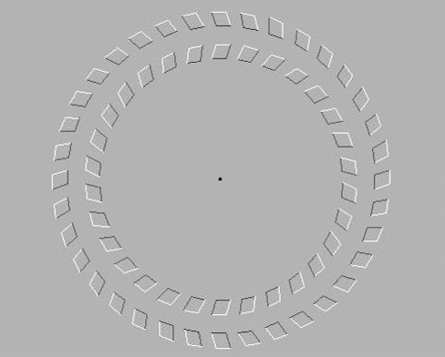 Sit and spin